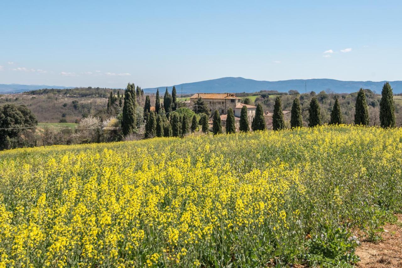 Appartamento Nonno Gino Montegabbro Exterior photo
